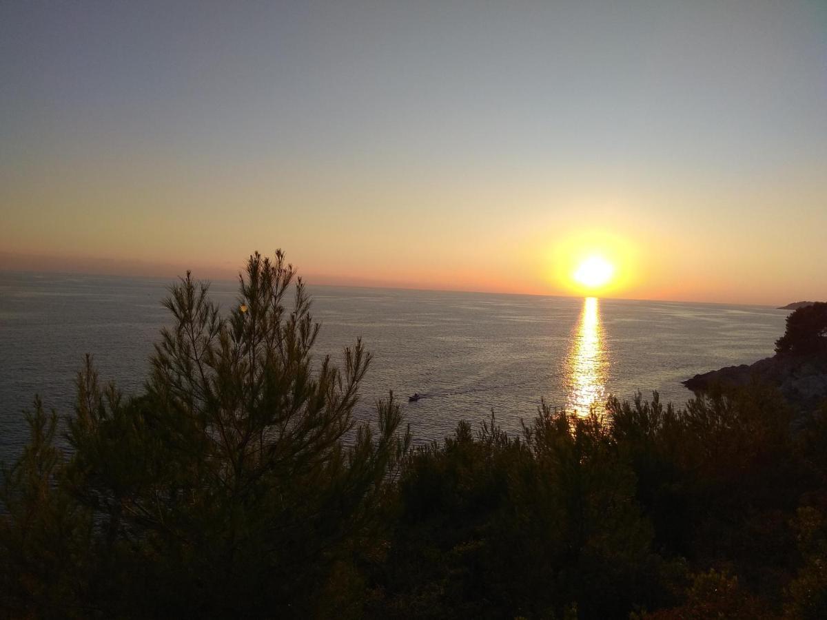Villa Zora, Starigrad Paklenica, Seline Esterno foto